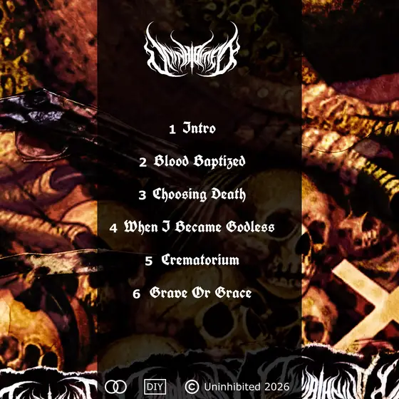 From Flesh To Void back cover